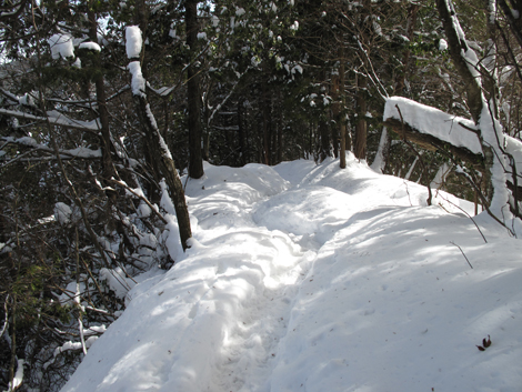 20140211hike (199)